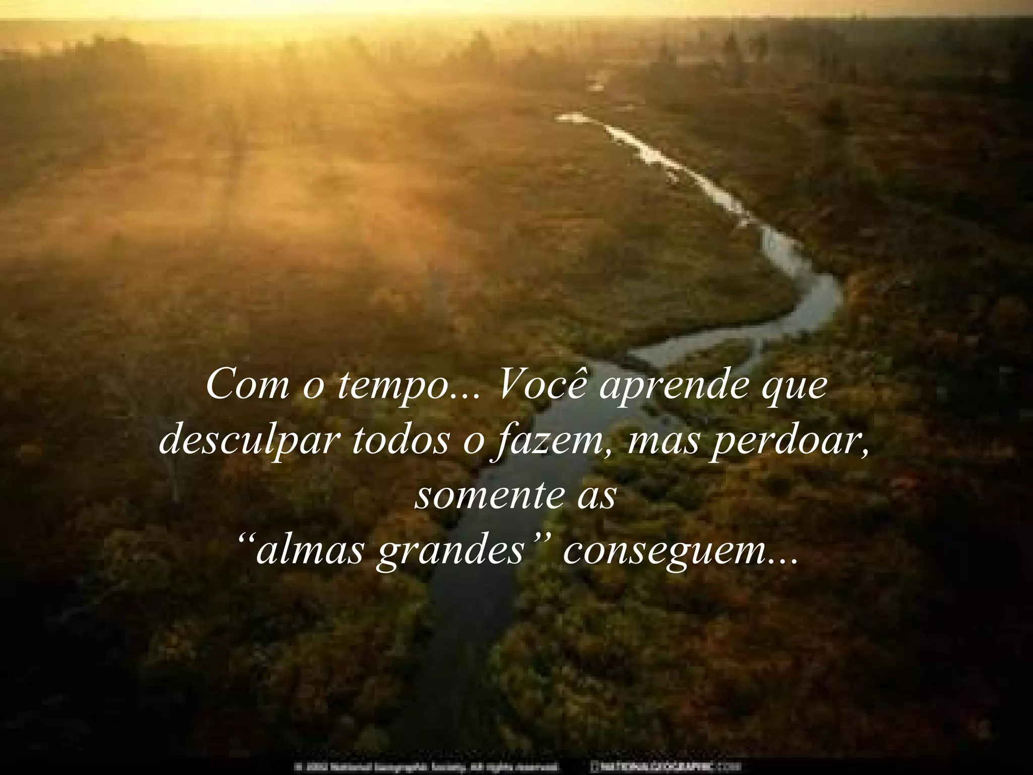 Com o tempo... Você aprende que
desculpar todos o fazem, mas perdoar,
somente as
“almas grandes” conseguem...

 