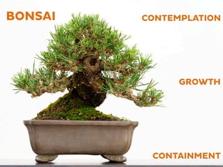 BONSAI
CONTAINMENT
CONTEMPLATION
GROWTH
 