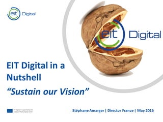 Text
Text
EIT	Digital	in	a	
Nutshell
“Sustain	our	Vision”
Stéphane Amarger	|	Director	France	|	May	2016
 