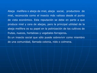 Abeja melífera o abeja de miel, abeja social, productora de miel, reconocida como el insecto más valioso desde el punto de vista económico. Esta reputación se debe en parte a que produce miel y cera de abejas, pero la principal utilidad de la abeja melífera es su papel en la polinización de los cultivos de frutas, nueces, hortalizas y vegetales forrajeros . Es un insecto social que sólo puede sobrevivir como miembro de una comunidad, llamada colonia, nido o colmena. 