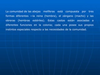 La comunidad de las abejas melíferas está compuesta por tres formas diferentes —la reina (hembra), el zángano (macho) y las obreras (hembras estériles). Estas castas están asociadas a diferentes funciones en la colonia; cada una posee sus propios instintos especiales respecto a las necesidades de la comunidad. 