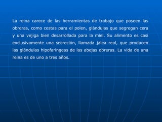 La reina carece de las herramientas de trabajo que poseen las obreras, como cestas para el polen, glándulas que segregan cera y una vejiga bien desarrollada para la miel. Su alimento es casi exclusivamente una secreción, llamada jalea real, que producen las glándulas hipofaríngeas de las abejas obreras. La vida de una reina es de uno a tres años. 
