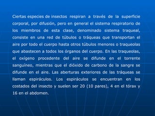 Ciertas especies de insectos respiran a través de la superficie corporal, por difusión, pero en general el sistema respiratorio de los miembros de esta clase, denominado sistema traqueal, consiste en una red de túbulos o tráqueas que transportan el aire por todo el cuerpo hasta otros túbulos menores o traqueolas que abastecen a todos los órganos del cuerpo. En las traqueolas, el oxígeno procedente del aire se difunde en el torrente sanguíneo, mientras que el dióxido de carbono de la sangre se difunde en el aire. Las aberturas exteriores de las tráqueas se llaman espiráculos. Los espiráculos se encuentran en los costados del insecto y suelen ser 20 (10 pares), 4 en el tórax y 16 en el abdomen. 