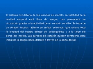 El sistema circulatorio de los insectos es sencillo. La totalidad de la cavidad corporal está llena de sangre, que permanece en circulación gracias a la actividad de un corazón sencillo. Se trata de un corazón tubular, abierto en ambos extremos, que recorre toda la longitud del cuerpo debajo del exoesqueleto y a lo largo del dorso del insecto. Las paredes del corazón pueden contraerse para impulsar la sangre hacia delante a través de la aorta dorsal. 
