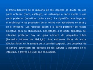 El tracto digestivo de la mayoría de los insectos se divide en una parte anterior (boca, esófago), un estómago o parte media y una parte posterior (intestino, recto y ano). La digestión tiene lugar en el estómago y los productos de la misma son absorbidos en éste y en el intestino. Los residuos pasan a la parte posterior del tracto digestivo para su eliminación. Conectados a la parte delantera del intestino posterior hay un gran número de pequeños tubos (llamados túbulos de Malpigio). Los extremos libres de estos túbulos flotan en la sangre de la cavidad corporal. Los desechos de la sangre atraviesan las paredes de los túbulos y penetran en el intestino, a través del cual son eliminados. 