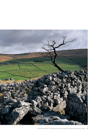 Evidence-based HR: The bridge between your people and delivering business strategy 27
 