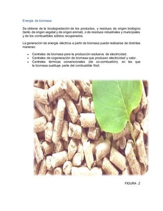 Energía de biomasa:
Se obtiene de la biodegradación de los productos, y residuos de origen biológico
(tanto de origen vegetal y de origen animal), o de residuos industriales y municipales
y de los combustibles sólidos recuperados.
La generación de energía eléctrica a partir de biomasa puede realizarse de distintas
maneras:
 Centrales de biomasa para la producción exclusiva de electricidad.
 Centrales de cogeneración de biomasa que producen electricidad y calor.
 Centrales térmicas convencionales (de co-combustión), en las que
la biomasa sustituye parte del combustible fósil.
FIGURA .2
 