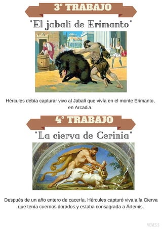 3º TRABAJO
"El jabalí de Erimanto"
Hércules debía capturar vivo al Jabalí que vivía en el monte Erimanto,
en Arcadia.
4º TRABAJO
"La cierva de Cerinia"
Después de un año entero de cacería, Hércules capturó viva a la Cierva
que tenía cuernos dorados y estaba consagrada a Ártemis.
Nieves.S
 