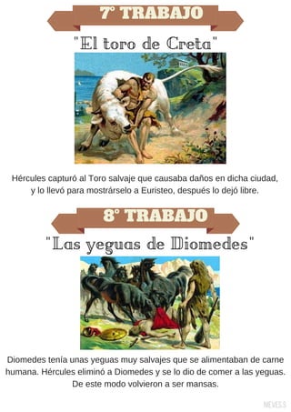 7º TRABAJO
"El toro de Creta"
Hércules capturó al Toro salvaje que causaba daños en dicha ciudad,
y lo llevó para mostrárselo a Euristeo, después lo dejó libre.
8º TRABAJO
"Las yeguas de Diomedes"
Diomedes tenía unas yeguas muy salvajes que se alimentaban de carne
humana. Hércules eliminó a Diomedes y se lo dio de comer a las yeguas.
De este modo volvieron a ser mansas.
Nieves.S
 