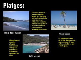 Platges: Platja des Figueral Cala Llonga Magnífiques i àmplies platges sorrenques voregen la pintoresca Badia amb bosquets de pìns. Es tracta d’una de les platges més  belles de l’illa amb una varietat de bells racons amb un relleu que presenta formes esculpides a la roca i illots que componen un paisatge molt variat. Platja bossa La platja més llarga de la illa, disposa d'un gran nombre de bars i cafès, gairebé un per a cada gust.  