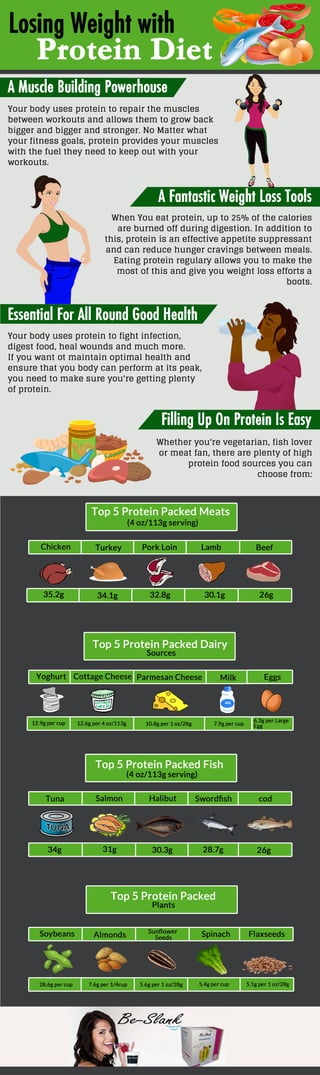 Losing Weight with Protein Diet
