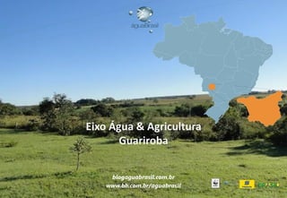 Eixo Água & Agricultura
Guariroba
blogaguabrasil.com.br
www.bb.com.br/aguabrasil
 