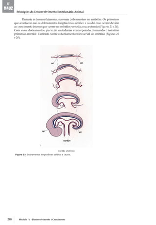 268 Módulo IV - Desenvolvimento e Crescimento
Princípios do Desenvolvimento Embrionário Animal
#
M4U2
Durante o desenvolvimento, ocorrem dobramentos no embrião. Os primeiros
que acontecem são os dobramentos longitudinais cefálico e caudal. Isso ocorre devido
ao crescimento intenso que ocorre no embrião por toda a sua extensão (Figuras 23 e 24).
Com esses dobramentos, parte do endoderma é incorporado, formando o intestino
primitivo anterior. Também ocorre o dobramento transversal do embrião (Figuras 25
e 26).
Cordão vitelínico
Figura 23: Dobramentos longitudinais cefálico e caudal.
 