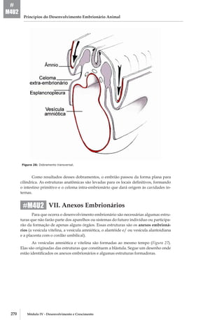 270 Módulo IV - Desenvolvimento e Crescimento
Princípios do Desenvolvimento Embrionário Animal
#
M4U2
Figura 26: Dobramento transversal.
Como resultados desses dobramentos, o embrião passou da forma plana para
cilíndrica. As estruturas anatômicas são levadas para os locais definitivos, formando
o intestino primitivo e o celoma intra­-embrionário que dará origem às cavidades in-
ternas.
VII. Anexos Embrionários
Para que ocorra o desenvolvimento embrionário são necessárias algumas estru-
turas que não farão parte dos aparelhos ou sistemas do futuro indivíduo ou participa-
rão da formação de apenas alguns órgãos. Essas estruturas são os anexos embrioná-
rios (a vesícula vitelina, a vesícula amniótica, o alantóide e/ ou vesícula alantoidiana
e a placenta com o cordão umbilical).
As vesículas amniótica e vitelina são formadas ao mesmo tempo (Figura 27).
Elas são originadas das estruturas que constituem a blástula. Segue um desenho onde
estão identificados os anexos embrionários e algumas estruturas formadoras.
#M4U2
 