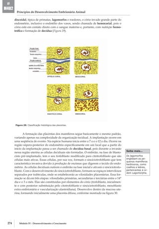 274 Módulo IV - Desenvolvimento e Crescimento
Princípios do Desenvolvimento Embrionário Animal
#
M4U2
discoidal, típica de primatas, lagomorfos e roedores, o cório invade grande parte do
endométrio, inclusive o endotélio dos vasos, sendo chamada de hemocorial, pois o
cório está em contato direto com o sangue materno e, portanto, com nutrição hemo-
trófica e formação de decídua (Figura 29).
Figura 29: Classificação histológica das placentas.
A formação das placentas dos mamíferos segue basicamente o mesmo padrão,
variando apenas na complexidade da organização tecidual. A implantação ocorre em
uma seqüência de evento. Na espécie humana inicia entre o 7 o e o 12 o dia. Ocorre na
região súpero­-posterior do endométrio especificamente em um local que a partir do
início da implantação passa a ser chamado de decídua basal, pois durante a invasão
nessa região uterina as células deciduais são formadas. O embrião, na fase de blasto-
cisto pré-­implantado, tem o seu trofoblasto modificado para citotrofoblasto que são
células mais ativas. Essas células, por sua vez, formam o sinciciotrofoblasto que tem
característica invasiva devido à produção de enzimas que digerem o tecido do endo-
métrio. As células deciduais nutrem o embrião na fase inicial e ativam o sinciciotrofo-
blasto. Com o desenvolvimento do sinciciotrofoblasto, formam-­se espaços intervilosos
separados por trabéculas, onde se estabelecerão as vilosidades placentárias. Essa for-
mação se dá em três etapas: vilosidades primárias, secundárias e terciárias entre o 14°
dia e o 3 o mês. Elas são constituídas por elementos do cório (trofoblasto, inicialmen-
te e com posterior substituição pelo citotrofoblasto e sinciciotrofoblasto, mesoblasto
extra­embrionário e vascularização alantoidiana). Desenvolve dentro da mucosa ute-
rina, formando inicialmente uma placenta difusa, conforme mostrado na figura 30.
Os lagomorfos
englobam os pe-
quenos mamíferos
herbívoros, como
coelhos e lebres,
pertencentes à or-
dem Lagomorpha.
Saiba mais...
 