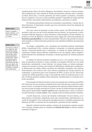 BSC
B
P
Eixo Biológico
245Consórcio Setentrional de Ensino a Distância
imediatamente abaixo da túnica albugínea. Inicialmente, forma-se o folículo primor-
dial constituído por uma camada de células pavimentosas situadas sobre a membra-
na basal. Nessa fase, o ovócito apresenta um núcleo grande e excêntrico, cromatina
frouxa e dispersa e com um ou mais nucléolos grandes. O aparelho de Golgi está bem
desenvolvido, com muitas mitocôndrias circundando-o, próximas ao núcleo.
Os folículos primordiais entram em crescimento aumentando o volume das cé-
lulas foliculares. É importante ressaltar que esse crescimento inicial não depende da
atividade hormonal.
Aos nove meses de gestação os dois ovários cotam com 500 mil folículos pri-
mordiais, cada um com um ovócito primário em seu interior. Ao nascimento, a maio-
ria desses folículos degenera e, nesse momento, é interrompida a divisão meiótica, na
prófase I, na fase de diplóteno. Permanecem nesse estágio até o início da produção de
hormônios gonadotróficos, no início da puberdade. Durante todo período de meiose
interrompida, as células foliculares produzem uma substância inibidora da maturação
do ovócito.
Ao atingir a puberdade, com a produção dos hormônios folículo estimulante
(FSH) e luteinizante (LH), a divisão meiótica é retomada e os folículos primordiais
iniciam o desenvolvimento para a maturação. A camada de células foliculares pa-
vimentosas simples desses folículos transforma-se em um epitélio cúbico simples e
posteriormente em estratificado, formando a camada granulosa do folículo primário
(Figura 1).
O epitélio do folículo primário estratifica­-se em 6 a 12 camadas. Entre as cé-
lulas da granulosa formam-se várias cavidades com líquido folicular rico em ácido
hialurônico, constituindo o antro folicular. Ao mesmo tempo, as células mesenqui-
matosas do estroma ovariano, proveniente de fibroblastos modificados, proliferam e
se diferenciam em células cúbicas secretoras de esteróides, formando a teca interna.
Externamente à teca interna está a teca externa constituída por tecido conectivo de
sustentação. A granulosa passa a ter receptores de FSH e as tecas, de LH. Nessa fase,
a partir das células granulosas, surge a zona pelúcida, fonte de nutrientes para o ovó-
cito. O folículo primário também sofreu alterações, estratificando-­se e tornando­-se fo-
lículo secundário.
Na formação do folículo terciário ocorre um aumento dos receptores para FSH e
LH. Nessa fase, há um aumento considerável do antro folicular que, a partir de então,
torna-­se único. A camada de células da granulosa tem espessura relativamente unifor-
me com exceção da região associada ao ovócito, em que as células formam um aglome-
rado espesso denominado cumulus oophurus que se projeta para o antro e circunda o
ovócito formando a corona radiata. Esse conjunto sofre um deslocamento excêntrico.
A partir dessa fase, as tecas são bastante evidenciadas. Na teca interna, as cé-
lulas passam a fusiformes, adquirindo assim alta vascularização, intensificando a se-
creção de estrogênios. Esse aumento do estrogênio promove a inibição progressiva da
liberação de FSH e o aumento de LH, finalizando a primeira divisão meiótica.
Quando o folículo terciário atingir o máximo de crescimento, estando susceptí-
vel à ovulação, também pode ser chamado de folículo De Graaf ou folículo maduro,
mostrado na figura 1.
Volte à unidade 1,
deste módulo, e re-
vise sobre meiose
e mitose.
Saiba mais...
Hormônios tróficos
(ou trópicos) são
hormônios produ-
zidos pela hipófise
que atuam sobre
outras glândulas
endócrinas. Assim,
hormônios gona-
dotróficos são os
hormônios da hipó-
fise que agem nas
gônadas femininas
(ovário) e masculi-
nas (testículos).
Saiba mais...
 