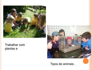 Trabalhar com
plantas e
Tipos de animais .
 