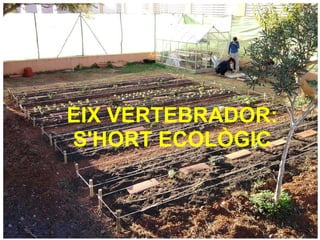 EIX VERTEBRADOR: S'HORT ECOLÒGIC 