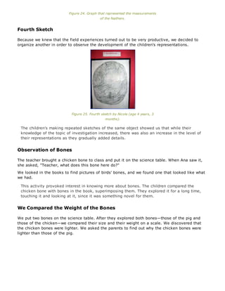 Figure 24. Graph that represented the measurements
of the feathers.
Fourth Sketch
Because we knew that the field experiences turned out to be very productive, we decided to
organize another in order to observe the development of the children's representations.
Figure 25. Fourth sketch by Nicole (age 4 years, 3
months).
The children's making repeated sketches of the same object showed us that while their
knowledge of the topic of investigation increased, there was also an increase in the level of
their representations as they gradually added details.
Observation of Bones
The teacher brought a chicken bone to class and put it on the science table. When Ana saw it,
she asked, "Teacher, what does this bone here do?"
We looked in the books to find pictures of birds' bones, and we found one that looked like what
we had.
This activity provoked interest in knowing more about bones. The children compared the
chicken bone with bones in the book, superimposing them. They explored it for a long time,
touching it and looking at it, since it was something novel for them.
We Compared the Weight of the Bones
We put two bones on the science table. After they explored both bones—those of the pig and
those of the chicken—we compared their size and their weight on a scale. We discovered that
the chicken bones were lighter. We asked the parents to find out why the chicken bones were
lighter than those of the pig.
 