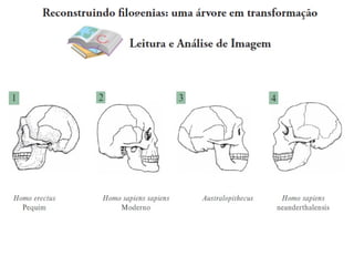 Eja   ciências biologia