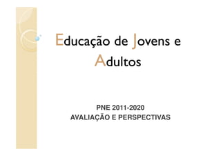 Educação de Jovens e
      Adultos

        PNE 2011-2020
  AVALIAÇÃO E PERSPECTIVAS
 