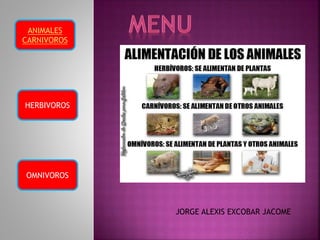 ANIMALES
CARNIVOROS
HERBIVOROS
OMNIVOROS
JORGE ALEXIS EXCOBAR JACOME
 