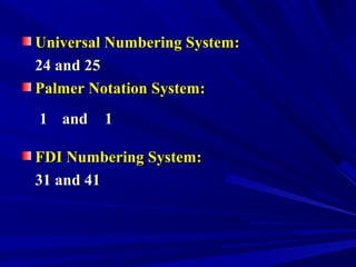 Universal Numbering System:Universal Numbering System:
24 and 2524 and 25
Palmer Notation System:Palmer Notation System:
FDI Numbering System:FDI Numbering System:
31 and 4131 and 41
11 andand 11
 