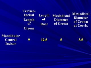 Cervico-Cervico-
IncisalIncisal
LengthLength
ofof
CrownCrown
LengthLength
ofof
RootRoot
MesiodistalMesiodistal
DiameterDiameter
of Crownof Crown
MesiodistalMesiodistal
DiameterDiameter
of Crownof Crown
at Cervixat Cervix
MandibularMandibular
CentralCentral
IncisorIncisor
99 12.512.5 55 3.53.5
 