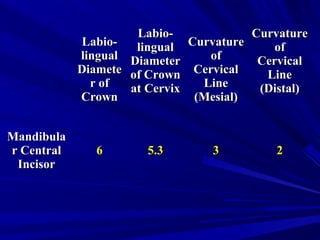 Labio-Labio-
linguallingual
DiameteDiamete
r ofr of
CrownCrown
Labio-Labio-
linguallingual
DiameterDiameter
of Crownof Crown
at Cervixat Cervix
CurvatureCurvature
ofof
CervicalCervical
LineLine
(Mesial)(Mesial)
CurvatureCurvature
ofof
CervicalCervical
LineLine
(Distal)(Distal)
MandibulaMandibula
r Centralr Central
IncisorIncisor
66 5.35.3 33 22
 