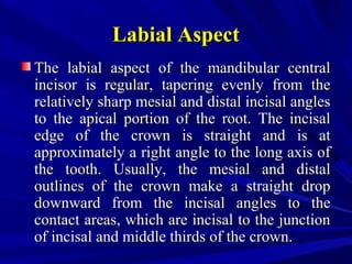 Labial AspectLabial Aspect
The labial aspect of the mandibular centralThe labial aspect of the mandibular central
incisor is regular, tapering evenly from theincisor is regular, tapering evenly from the
relatively sharp mesial and distal incisal anglesrelatively sharp mesial and distal incisal angles
to the apical portion of the root. The incisalto the apical portion of the root. The incisal
edge of the crown is straight and is atedge of the crown is straight and is at
approximately a right angle to the long axis ofapproximately a right angle to the long axis of
the tooth. Usually, the mesial and distalthe tooth. Usually, the mesial and distal
outlines of the crown make a straight dropoutlines of the crown make a straight drop
downward from the incisal angles to thedownward from the incisal angles to the
contact areas, which are incisal to the junctioncontact areas, which are incisal to the junction
of incisal and middle thirds of the crown.of incisal and middle thirds of the crown.
 