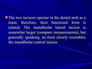 The two incisors operate in the dental arch as aThe two incisors operate in the dental arch as a
team; therefore, their functional form isteam; therefore, their functional form is
related. The mandibular lateral incisor isrelated. The mandibular lateral incisor is
somewhat larger (compare measurements), butsomewhat larger (compare measurements), but
generally speaking, its form closely resemblesgenerally speaking, its form closely resembles
the mandibular central incisor.the mandibular central incisor.
 
