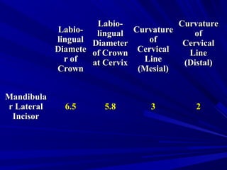 Labio-Labio-
linguallingual
DiameteDiamete
r ofr of
CrownCrown
Labio-Labio-
linguallingual
DiameterDiameter
of Crownof Crown
at Cervixat Cervix
CurvatureCurvature
ofof
CervicalCervical
LineLine
(Mesial)(Mesial)
CurvatureCurvature
ofof
CervicalCervical
LineLine
(Distal)(Distal)
MandibulaMandibula
r Lateralr Lateral
IncisorIncisor
6.56.5 5.85.8 33 22
 