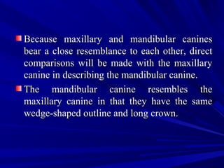 Because maxillary and mandibular caninesBecause maxillary and mandibular canines
bear a close resemblance to each other, directbear a close resemblance to each other, direct
comparisons will be made with the maxillarycomparisons will be made with the maxillary
canine in describing the mandibular canine.canine in describing the mandibular canine.
The mandibular canine resembles theThe mandibular canine resembles the
maxillary canine in that they have the samemaxillary canine in that they have the same
wedge-shaped outline and long crown.wedge-shaped outline and long crown.
 