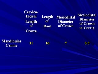 Cervico-Cervico-
IncisalIncisal
LengthLength
ofof
CrownCrown
LengthLength
ofof
RootRoot
MesiodistalMesiodistal
DiameterDiameter
of Crownof Crown
MesiodistalMesiodistal
DiameterDiameter
of Crownof Crown
at Cervixat Cervix
MandibularMandibular
CanineCanine
1111 1616 77 5.55.5
 