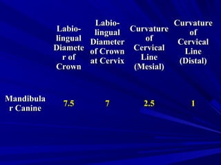 Labio-Labio-
linguallingual
DiameteDiamete
r ofr of
CrownCrown
Labio-Labio-
linguallingual
DiameterDiameter
of Crownof Crown
at Cervixat Cervix
CurvatureCurvature
ofof
CervicalCervical
LineLine
(Mesial)(Mesial)
CurvatureCurvature
ofof
CervicalCervical
LineLine
(Distal)(Distal)
MandibulaMandibula
r Caniner Canine
7.57.5 77 2.52.5 11
 