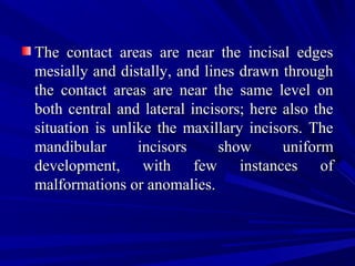 The contact areas are near the incisal edgesThe contact areas are near the incisal edges
mesially and distally, and lines drawn throughmesially and distally, and lines drawn through
the contact areas are near the same level onthe contact areas are near the same level on
both central and lateral incisors; here also theboth central and lateral incisors; here also the
situation is unlike the maxillary incisors. Thesituation is unlike the maxillary incisors. The
mandibular incisors show uniformmandibular incisors show uniform
development, with few instances ofdevelopment, with few instances of
malformations or anomalies.malformations or anomalies.
 