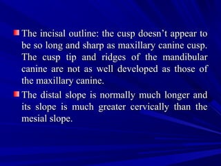 The incisal outline: the cusp doesn’t appear toThe incisal outline: the cusp doesn’t appear to
be so long and sharp as maxillary canine cusp.be so long and sharp as maxillary canine cusp.
The cusp tip and ridges of the mandibularThe cusp tip and ridges of the mandibular
canine are not as well developed as those ofcanine are not as well developed as those of
the maxillary canine.the maxillary canine.
The distal slope is normally much longer andThe distal slope is normally much longer and
its slope is much greater cervically than theits slope is much greater cervically than the
mesial slope.mesial slope.
 