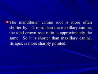 The mandibular canine root is more oftenThe mandibular canine root is more often
shorter by 1-2 mm. than the maxillary canine;shorter by 1-2 mm. than the maxillary canine;
the total crown root ratio is approximately thethe total crown root ratio is approximately the
same. So it is shorter than maxillary canine.same. So it is shorter than maxillary canine.
Its apex is more sharply pointed.Its apex is more sharply pointed.
 