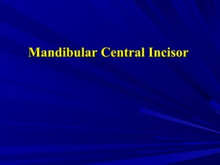 Mandibular Central IncisorMandibular Central Incisor
 