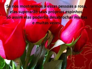 Se nós mostrarmos a essas pessoas a rosa, elas superarão seus próprios espinhos.Só assim elas poderão desabrochar muitas e muitas vezes.