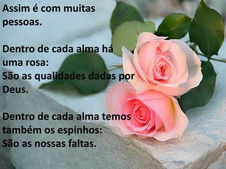 Assim é com muitas pessoas.Dentro de cada alma há uma rosa:São as qualidades dadas por Deus.Dentro de cada alma temos também os espinhos:São as nossas faltas.