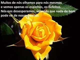 Muitos de nós olhamos para nós mesmos e vemos apenas os espinhos, os defeitos.Nós nos desesperamos, achando que nada de bom pode vir de nosso interior.