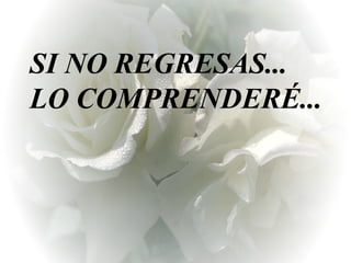 SI NO REGRESAS... LO COMPRENDERÉ... 