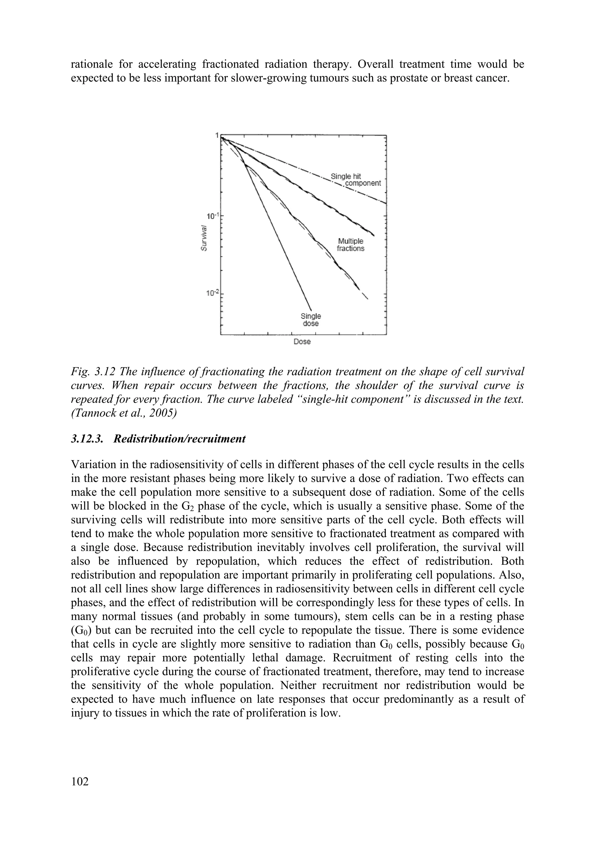 rationale for accelerating fractionated radiation therapy. Overall treatment time would be
expected to be less important for slower-growing tumours such as prostate or breast cancer.
Fig. 3.12 The influence of fractionating the radiation treatment on the shape of cell survival
curves. When repair occurs between the fractions, the shoulder of the survival curve is
repeated for every fraction. The curve labeled “single-hit component” is discussed in the text.
(Tannock et al., 2005)
3.12.3. Redistribution/recruitment
Variation in the radiosensitivity of cells in different phases of the cell cycle results in the cells
in the more resistant phases being more likely to survive a dose of radiation. Two effects can
make the cell population more sensitive to a subsequent dose of radiation. Some of the cells
will be blocked in the G2 phase of the cycle, which is usually a sensitive phase. Some of the
surviving cells will redistribute into more sensitive parts of the cell cycle. Both effects will
tend to make the whole population more sensitive to fractionated treatment as compared with
a single dose. Because redistribution inevitably involves cell proliferation, the survival will
also be influenced by repopulation, which reduces the effect of redistribution. Both
redistribution and repopulation are important primarily in proliferating cell populations. Also,
not all cell lines show large differences in radiosensitivity between cells in different cell cycle
phases, and the effect of redistribution will be correspondingly less for these types of cells. In
many normal tissues (and probably in some tumours), stem cells can be in a resting phase
(G0) but can be recruited into the cell cycle to repopulate the tissue. There is some evidence
that cells in cycle are slightly more sensitive to radiation than G0 cells, possibly because G0
cells may repair more potentially lethal damage. Recruitment of resting cells into the
proliferative cycle during the course of fractionated treatment, therefore, may tend to increase
the sensitivity of the whole population. Neither recruitment nor redistribution would be
expected to have much influence on late responses that occur predominantly as a result of
injury to tissues in which the rate of proliferation is low.
102
 