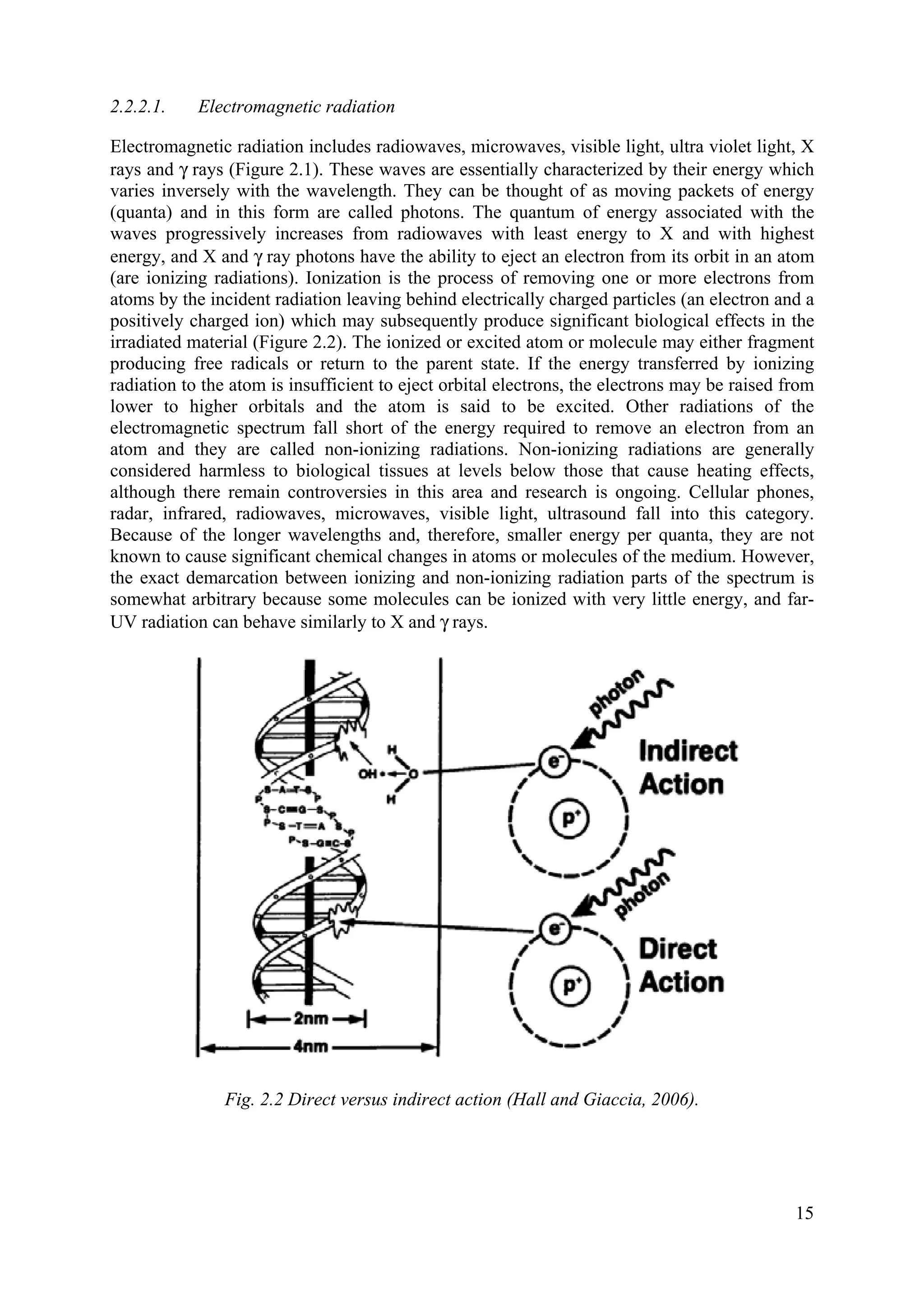 2.2.2.1. Electromagnetic radiation
Electromagnetic radiation includes radiowaves, microwaves, visible light, ultra violet light, X
rays and γ rays (Figure 2.1). These waves are essentially characterized by their energy which
varies inversely with the wavelength. They can be thought of as moving packets of energy
(quanta) and in this form are called photons. The quantum of energy associated with the
waves progressively increases from radiowaves with least energy to X and with highest
energy, and X and γ ray photons have the ability to eject an electron from its orbit in an atom
(are ionizing radiations). Ionization is the process of removing one or more electrons from
atoms by the incident radiation leaving behind electrically charged particles (an electron and a
positively charged ion) which may subsequently produce significant biological effects in the
irradiated material (Figure 2.2). The ionized or excited atom or molecule may either fragment
producing free radicals or return to the parent state. If the energy transferred by ionizing
radiation to the atom is insufficient to eject orbital electrons, the electrons may be raised from
lower to higher orbitals and the atom is said to be excited. Other radiations of the
electromagnetic spectrum fall short of the energy required to remove an electron from an
atom and they are called non-ionizing radiations. Non-ionizing radiations are generally
considered harmless to biological tissues at levels below those that cause heating effects,
although there remain controversies in this area and research is ongoing. Cellular phones,
radar, infrared, radiowaves, microwaves, visible light, ultrasound fall into this category.
Because of the longer wavelengths and, therefore, smaller energy per quanta, they are not
known to cause significant chemical changes in atoms or molecules of the medium. However,
the exact demarcation between ionizing and non-ionizing radiation parts of the spectrum is
somewhat arbitrary because some molecules can be ionized with very little energy, and far-
UV radiation can behave similarly to X and γ rays.
Fig. 2.2 Direct versus indirect action (Hall and Giaccia, 2006).
15
 