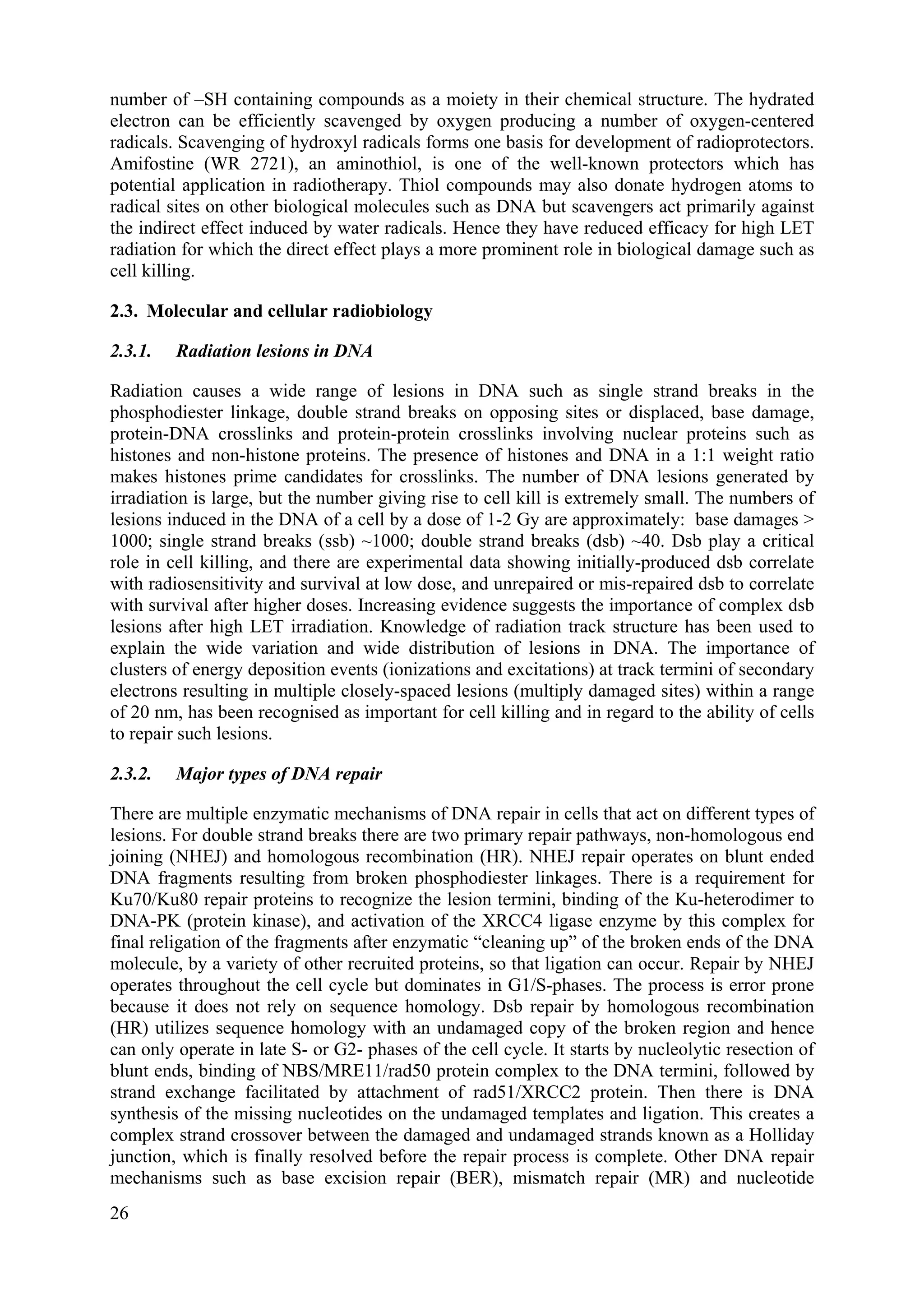 number of –SH containing compounds as a moiety in their chemical structure. The hydrated
electron can be efficiently scavenged by oxygen producing a number of oxygen-centered
radicals. Scavenging of hydroxyl radicals forms one basis for development of radioprotectors.
Amifostine (WR 2721), an aminothiol, is one of the well-known protectors which has
potential application in radiotherapy. Thiol compounds may also donate hydrogen atoms to
radical sites on other biological molecules such as DNA but scavengers act primarily against
the indirect effect induced by water radicals. Hence they have reduced efficacy for high LET
radiation for which the direct effect plays a more prominent role in biological damage such as
cell killing.
2.3. Molecular and cellular radiobiology
2.3.1. Radiation lesions in DNA
Radiation causes a wide range of lesions in DNA such as single strand breaks in the
phosphodiester linkage, double strand breaks on opposing sites or displaced, base damage,
protein-DNA crosslinks and protein-protein crosslinks involving nuclear proteins such as
histones and non-histone proteins. The presence of histones and DNA in a 1:1 weight ratio
makes histones prime candidates for crosslinks. The number of DNA lesions generated by
irradiation is large, but the number giving rise to cell kill is extremely small. The numbers of
lesions induced in the DNA of a cell by a dose of 1-2 Gy are approximately: base damages >
1000; single strand breaks (ssb) ~1000; double strand breaks (dsb) ~40. Dsb play a critical
role in cell killing, and there are experimental data showing initially-produced dsb correlate
with radiosensitivity and survival at low dose, and unrepaired or mis-repaired dsb to correlate
with survival after higher doses. Increasing evidence suggests the importance of complex dsb
lesions after high LET irradiation. Knowledge of radiation track structure has been used to
explain the wide variation and wide distribution of lesions in DNA. The importance of
clusters of energy deposition events (ionizations and excitations) at track termini of secondary
electrons resulting in multiple closely-spaced lesions (multiply damaged sites) within a range
of 20 nm, has been recognised as important for cell killing and in regard to the ability of cells
to repair such lesions.
2.3.2. Major types of DNA repair
There are multiple enzymatic mechanisms of DNA repair in cells that act on different types of
lesions. For double strand breaks there are two primary repair pathways, non-homologous end
joining (NHEJ) and homologous recombination (HR). NHEJ repair operates on blunt ended
DNA fragments resulting from broken phosphodiester linkages. There is a requirement for
Ku70/Ku80 repair proteins to recognize the lesion termini, binding of the Ku-heterodimer to
DNA-PK (protein kinase), and activation of the XRCC4 ligase enzyme by this complex for
final religation of the fragments after enzymatic “cleaning up” of the broken ends of the DNA
molecule, by a variety of other recruited proteins, so that ligation can occur. Repair by NHEJ
operates throughout the cell cycle but dominates in G1/S-phases. The process is error prone
because it does not rely on sequence homology. Dsb repair by homologous recombination
(HR) utilizes sequence homology with an undamaged copy of the broken region and hence
can only operate in late S- or G2- phases of the cell cycle. It starts by nucleolytic resection of
blunt ends, binding of NBS/MRE11/rad50 protein complex to the DNA termini, followed by
strand exchange facilitated by attachment of rad51/XRCC2 protein. Then there is DNA
synthesis of the missing nucleotides on the undamaged templates and ligation. This creates a
complex strand crossover between the damaged and undamaged strands known as a Holliday
junction, which is finally resolved before the repair process is complete. Other DNA repair
mechanisms such as base excision repair (BER), mismatch repair (MR) and nucleotide
26
 