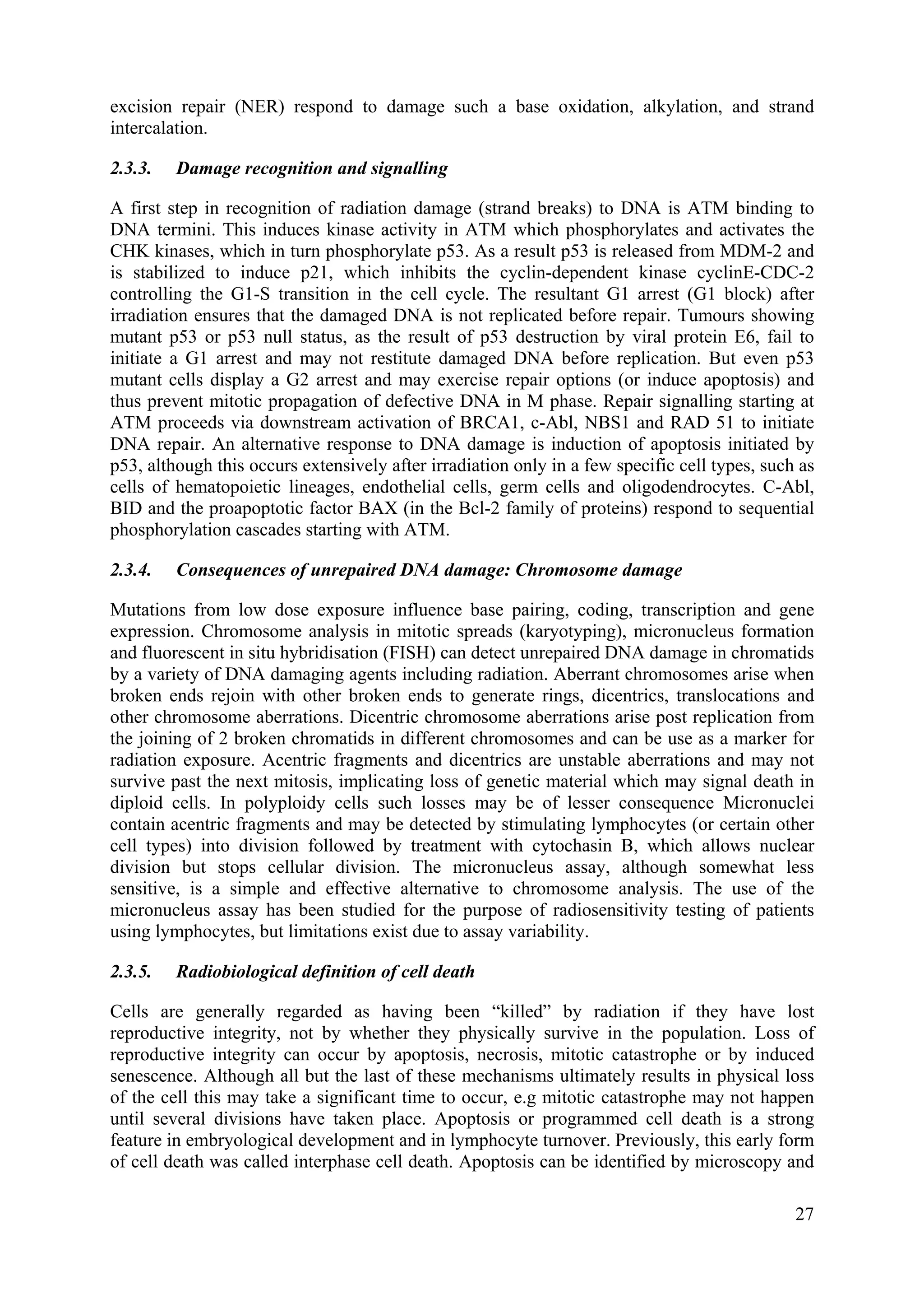 excision repair (NER) respond to damage such a base oxidation, alkylation, and strand
intercalation.
2.3.3. Damage recognition and signalling
A first step in recognition of radiation damage (strand breaks) to DNA is ATM binding to
DNA termini. This induces kinase activity in ATM which phosphorylates and activates the
CHK kinases, which in turn phosphorylate p53. As a result p53 is released from MDM-2 and
is stabilized to induce p21, which inhibits the cyclin-dependent kinase cyclinE-CDC-2
controlling the G1-S transition in the cell cycle. The resultant G1 arrest (G1 block) after
irradiation ensures that the damaged DNA is not replicated before repair. Tumours showing
mutant p53 or p53 null status, as the result of p53 destruction by viral protein E6, fail to
initiate a G1 arrest and may not restitute damaged DNA before replication. But even p53
mutant cells display a G2 arrest and may exercise repair options (or induce apoptosis) and
thus prevent mitotic propagation of defective DNA in M phase. Repair signalling starting at
ATM proceeds via downstream activation of BRCA1, c-Abl, NBS1 and RAD 51 to initiate
DNA repair. An alternative response to DNA damage is induction of apoptosis initiated by
p53, although this occurs extensively after irradiation only in a few specific cell types, such as
cells of hematopoietic lineages, endothelial cells, germ cells and oligodendrocytes. C-Abl,
BID and the proapoptotic factor BAX (in the Bcl-2 family of proteins) respond to sequential
phosphorylation cascades starting with ATM.
2.3.4. Consequences of unrepaired DNA damage: Chromosome damage
Mutations from low dose exposure influence base pairing, coding, transcription and gene
expression. Chromosome analysis in mitotic spreads (karyotyping), micronucleus formation
and fluorescent in situ hybridisation (FISH) can detect unrepaired DNA damage in chromatids
by a variety of DNA damaging agents including radiation. Aberrant chromosomes arise when
broken ends rejoin with other broken ends to generate rings, dicentrics, translocations and
other chromosome aberrations. Dicentric chromosome aberrations arise post replication from
the joining of 2 broken chromatids in different chromosomes and can be use as a marker for
radiation exposure. Acentric fragments and dicentrics are unstable aberrations and may not
survive past the next mitosis, implicating loss of genetic material which may signal death in
diploid cells. In polyploidy cells such losses may be of lesser consequence Micronuclei
contain acentric fragments and may be detected by stimulating lymphocytes (or certain other
cell types) into division followed by treatment with cytochasin B, which allows nuclear
division but stops cellular division. The micronucleus assay, although somewhat less
sensitive, is a simple and effective alternative to chromosome analysis. The use of the
micronucleus assay has been studied for the purpose of radiosensitivity testing of patients
using lymphocytes, but limitations exist due to assay variability.
2.3.5. Radiobiological definition of cell death
Cells are generally regarded as having been “killed” by radiation if they have lost
reproductive integrity, not by whether they physically survive in the population. Loss of
reproductive integrity can occur by apoptosis, necrosis, mitotic catastrophe or by induced
senescence. Although all but the last of these mechanisms ultimately results in physical loss
of the cell this may take a significant time to occur, e.g mitotic catastrophe may not happen
until several divisions have taken place. Apoptosis or programmed cell death is a strong
feature in embryological development and in lymphocyte turnover. Previously, this early form
of cell death was called interphase cell death. Apoptosis can be identified by microscopy and
27
 