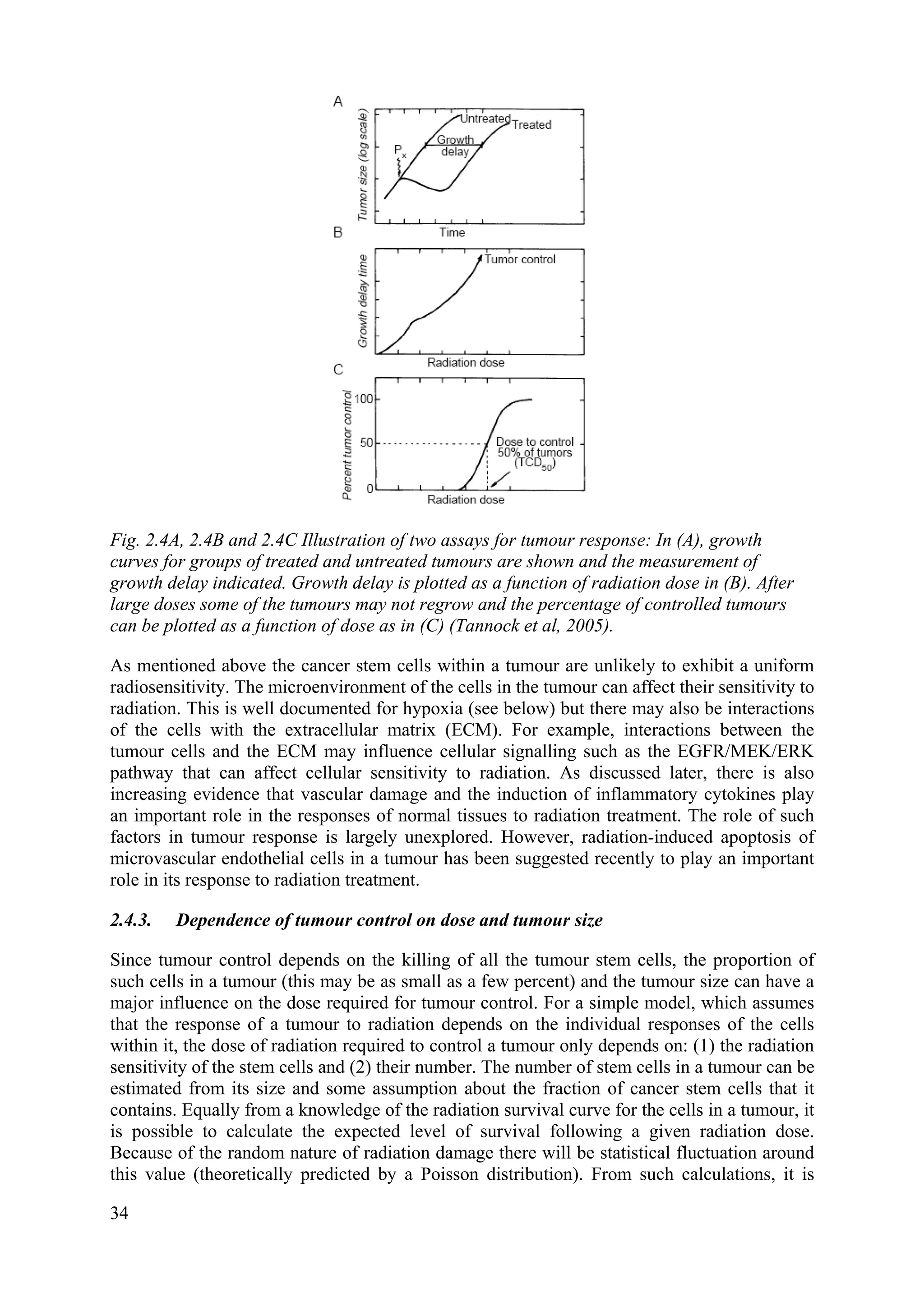 Fig. 2.4A, 2.4B and 2.4C Illustration of two assays for tumour response: In (A), growth
curves for groups of treated and untreated tumours are shown and the measurement of
growth delay indicated. Growth delay is plotted as a function of radiation dose in (B). After
large doses some of the tumours may not regrow and the percentage of controlled tumours
can be plotted as a function of dose as in (C) (Tannock et al, 2005).
As mentioned above the cancer stem cells within a tumour are unlikely to exhibit a uniform
radiosensitivity. The microenvironment of the cells in the tumour can affect their sensitivity to
radiation. This is well documented for hypoxia (see below) but there may also be interactions
of the cells with the extracellular matrix (ECM). For example, interactions between the
tumour cells and the ECM may influence cellular signalling such as the EGFR/MEK/ERK
pathway that can affect cellular sensitivity to radiation. As discussed later, there is also
increasing evidence that vascular damage and the induction of inflammatory cytokines play
an important role in the responses of normal tissues to radiation treatment. The role of such
factors in tumour response is largely unexplored. However, radiation-induced apoptosis of
microvascular endothelial cells in a tumour has been suggested recently to play an important
role in its response to radiation treatment.
2.4.3. Dependence of tumour control on dose and tumour size
Since tumour control depends on the killing of all the tumour stem cells, the proportion of
such cells in a tumour (this may be as small as a few percent) and the tumour size can have a
major influence on the dose required for tumour control. For a simple model, which assumes
that the response of a tumour to radiation depends on the individual responses of the cells
within it, the dose of radiation required to control a tumour only depends on: (1) the radiation
sensitivity of the stem cells and (2) their number. The number of stem cells in a tumour can be
estimated from its size and some assumption about the fraction of cancer stem cells that it
contains. Equally from a knowledge of the radiation survival curve for the cells in a tumour, it
is possible to calculate the expected level of survival following a given radiation dose.
Because of the random nature of radiation damage there will be statistical fluctuation around
this value (theoretically predicted by a Poisson distribution). From such calculations, it is
34
 