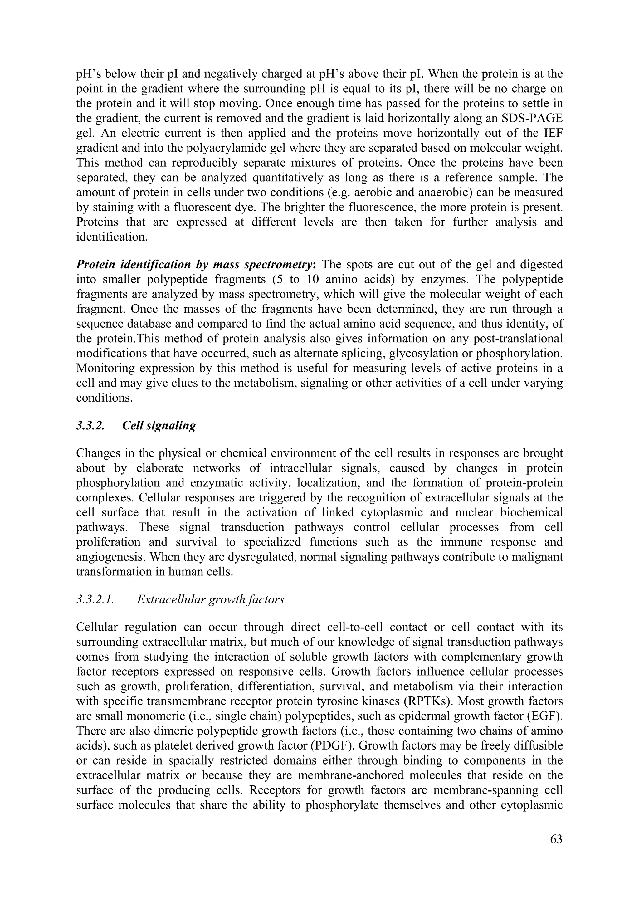 pH’s below their pI and negatively charged at pH’s above their pI. When the protein is at the
point in the gradient where the surrounding pH is equal to its pI, there will be no charge on
the protein and it will stop moving. Once enough time has passed for the proteins to settle in
the gradient, the current is removed and the gradient is laid horizontally along an SDS-PAGE
gel. An electric current is then applied and the proteins move horizontally out of the IEF
gradient and into the polyacrylamide gel where they are separated based on molecular weight.
This method can reproducibly separate mixtures of proteins. Once the proteins have been
separated, they can be analyzed quantitatively as long as there is a reference sample. The
amount of protein in cells under two conditions (e.g. aerobic and anaerobic) can be measured
by staining with a fluorescent dye. The brighter the fluorescence, the more protein is present.
Proteins that are expressed at different levels are then taken for further analysis and
identification.
Protein identification by mass spectrometry: The spots are cut out of the gel and digested
into smaller polypeptide fragments (5 to 10 amino acids) by enzymes. The polypeptide
fragments are analyzed by mass spectrometry, which will give the molecular weight of each
fragment. Once the masses of the fragments have been determined, they are run through a
sequence database and compared to find the actual amino acid sequence, and thus identity, of
the protein.This method of protein analysis also gives information on any post-translational
modifications that have occurred, such as alternate splicing, glycosylation or phosphorylation.
Monitoring expression by this method is useful for measuring levels of active proteins in a
cell and may give clues to the metabolism, signaling or other activities of a cell under varying
conditions.
3.3.2. Cell signaling
Changes in the physical or chemical environment of the cell results in responses are brought
about by elaborate networks of intracellular signals, caused by changes in protein
phosphorylation and enzymatic activity, localization, and the formation of protein-protein
complexes. Cellular responses are triggered by the recognition of extracellular signals at the
cell surface that result in the activation of linked cytoplasmic and nuclear biochemical
pathways. These signal transduction pathways control cellular processes from cell
proliferation and survival to specialized functions such as the immune response and
angiogenesis. When they are dysregulated, normal signaling pathways contribute to malignant
transformation in human cells.
3.3.2.1. Extracellular growth factors
Cellular regulation can occur through direct cell-to-cell contact or cell contact with its
surrounding extracellular matrix, but much of our knowledge of signal transduction pathways
comes from studying the interaction of soluble growth factors with complementary growth
factor receptors expressed on responsive cells. Growth factors influence cellular processes
such as growth, proliferation, differentiation, survival, and metabolism via their interaction
with specific transmembrane receptor protein tyrosine kinases (RPTKs). Most growth factors
are small monomeric (i.e., single chain) polypeptides, such as epidermal growth factor (EGF).
There are also dimeric polypeptide growth factors (i.e., those containing two chains of amino
acids), such as platelet derived growth factor (PDGF). Growth factors may be freely diffusible
or can reside in spacially restricted domains either through binding to components in the
extracellular matrix or because they are membrane-anchored molecules that reside on the
surface of the producing cells. Receptors for growth factors are membrane-spanning cell
surface molecules that share the ability to phosphorylate themselves and other cytoplasmic
63
 