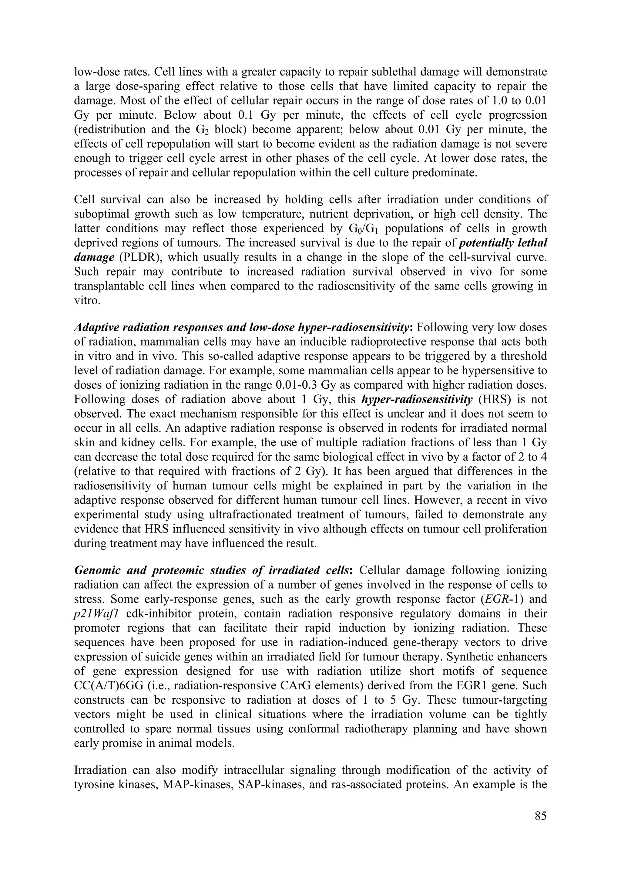 low-dose rates. Cell lines with a greater capacity to repair sublethal damage will demonstrate
a large dose-sparing effect relative to those cells that have limited capacity to repair the
damage. Most of the effect of cellular repair occurs in the range of dose rates of 1.0 to 0.01
Gy per minute. Below about 0.1 Gy per minute, the effects of cell cycle progression
(redistribution and the G2 block) become apparent; below about 0.01 Gy per minute, the
effects of cell repopulation will start to become evident as the radiation damage is not severe
enough to trigger cell cycle arrest in other phases of the cell cycle. At lower dose rates, the
processes of repair and cellular repopulation within the cell culture predominate.
Cell survival can also be increased by holding cells after irradiation under conditions of
suboptimal growth such as low temperature, nutrient deprivation, or high cell density. The
latter conditions may reflect those experienced by G0/G1 populations of cells in growth
deprived regions of tumours. The increased survival is due to the repair of potentially lethal
damage (PLDR), which usually results in a change in the slope of the cell-survival curve.
Such repair may contribute to increased radiation survival observed in vivo for some
transplantable cell lines when compared to the radiosensitivity of the same cells growing in
vitro.
Adaptive radiation responses and low-dose hyper-radiosensitivity: Following very low doses
of radiation, mammalian cells may have an inducible radioprotective response that acts both
in vitro and in vivo. This so-called adaptive response appears to be triggered by a threshold
level of radiation damage. For example, some mammalian cells appear to be hypersensitive to
doses of ionizing radiation in the range 0.01-0.3 Gy as compared with higher radiation doses.
Following doses of radiation above about 1 Gy, this hyper-radiosensitivity (HRS) is not
observed. The exact mechanism responsible for this effect is unclear and it does not seem to
occur in all cells. An adaptive radiation response is observed in rodents for irradiated normal
skin and kidney cells. For example, the use of multiple radiation fractions of less than 1 Gy
can decrease the total dose required for the same biological effect in vivo by a factor of 2 to 4
(relative to that required with fractions of 2 Gy). It has been argued that differences in the
radiosensitivity of human tumour cells might be explained in part by the variation in the
adaptive response observed for different human tumour cell lines. However, a recent in vivo
experimental study using ultrafractionated treatment of tumours, failed to demonstrate any
evidence that HRS influenced sensitivity in vivo although effects on tumour cell proliferation
during treatment may have influenced the result.
Genomic and proteomic studies of irradiated cells: Cellular damage following ionizing
radiation can affect the expression of a number of genes involved in the response of cells to
stress. Some early-response genes, such as the early growth response factor (EGR-1) and
p21Waf1 cdk-inhibitor protein, contain radiation responsive regulatory domains in their
promoter regions that can facilitate their rapid induction by ionizing radiation. These
sequences have been proposed for use in radiation-induced gene-therapy vectors to drive
expression of suicide genes within an irradiated field for tumour therapy. Synthetic enhancers
of gene expression designed for use with radiation utilize short motifs of sequence
CC(A/T)6GG (i.e., radiation-responsive CArG elements) derived from the EGR1 gene. Such
constructs can be responsive to radiation at doses of 1 to 5 Gy. These tumour-targeting
vectors might be used in clinical situations where the irradiation volume can be tightly
controlled to spare normal tissues using conformal radiotherapy planning and have shown
early promise in animal models.
Irradiation can also modify intracellular signaling through modification of the activity of
tyrosine kinases, MAP-kinases, SAP-kinases, and ras-associated proteins. An example is the
85
 